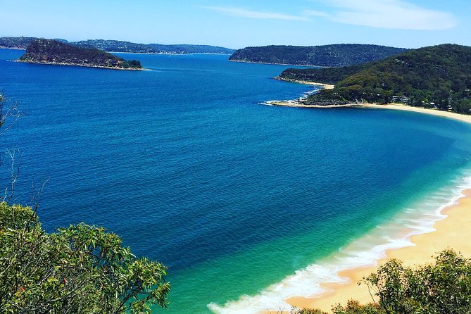 Central Coast Private Tour From Sydney, With Australian Reptile Park Option - Additional Information
