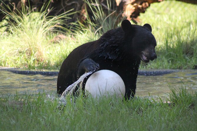 Central Florida Zoo & Downtown Sanford Golf Cart Experience - Booking and Confirmation