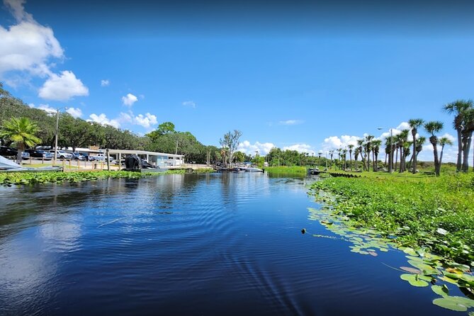 CENTRAL Florida'S BEST PRICED Eco-Friendly Airboat Rides - Wildlife and Scenery