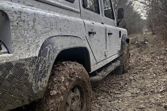 Central Istria Gastro and Off Road Half-Day Private Guided Tour - Tour Reviews