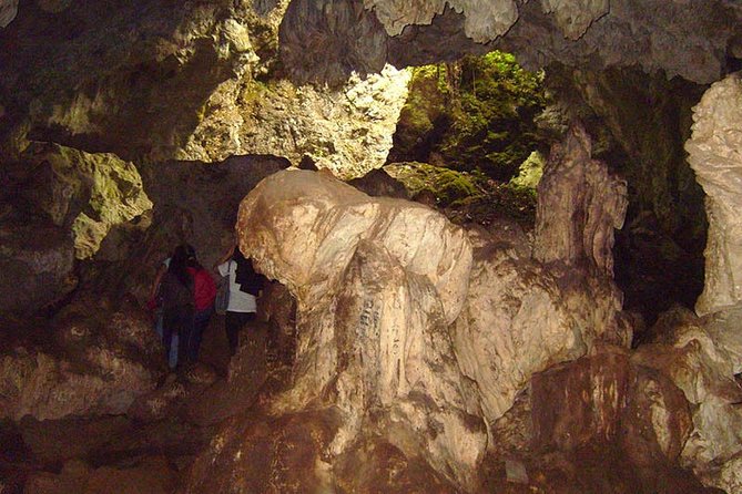 Central Jungle 4 Days and 3 Nights - Explore the Central Jungle