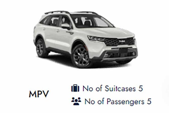 Central London to Southampton Cruise Port Private Transfers - Driver Professionalism and Reliability