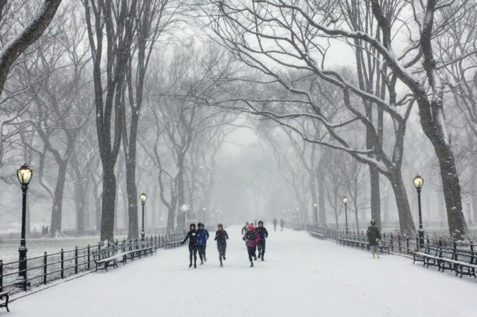 Central Park: Highlights Running Tour - Customer Feedback