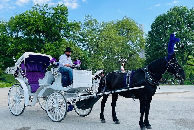 Central Park Horse and Carriage Rides - Meeting Point