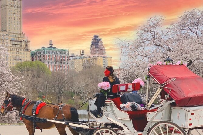 Central Park Horse and Carriage Rides - Additional Information