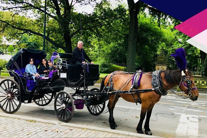 Central Park Horse and Carriage Rides - Pricing Details