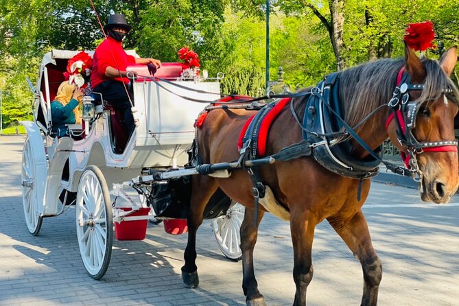 Central Park Horse and Carriage Rides - Carriage Ride Experience