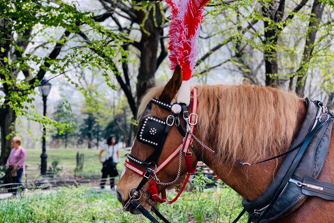 Central Park Horse and Carriage Rides - Landmarks and Attractions
