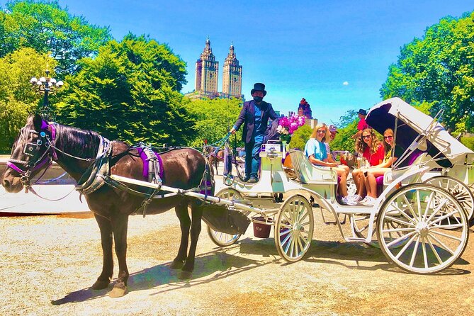 Central Park Horse and Carriage Rides - Sightseeing and History