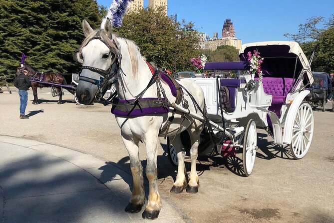 Central Park Horse Carriage Rides Since 2005 - The Unique Experience of a Private Ride