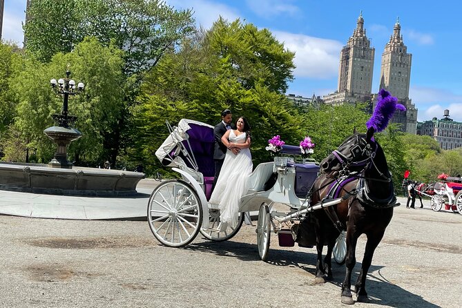 Central Park Horse Carriage Rides Since 2005 - Accessibility Options for All Guests