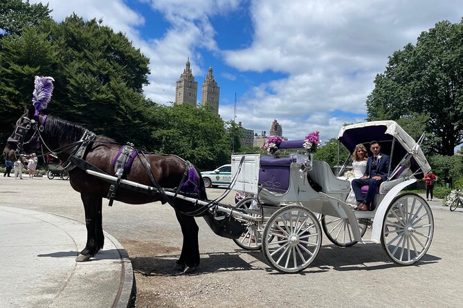 Central Park Horse Carriage Rides Since 2005 - Customer Reviews and Experiences