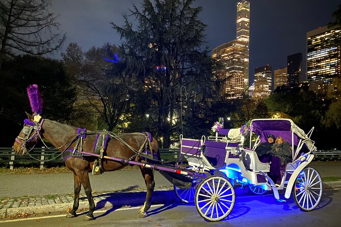 Central Park Movie Tour on Horse Carriage - Reviews and Ratings