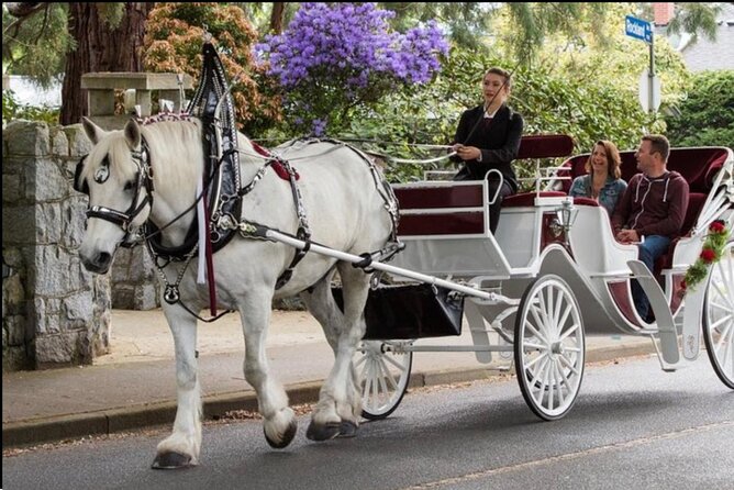 Central Park Movie Tour on Horse Carriage - Guided Narration
