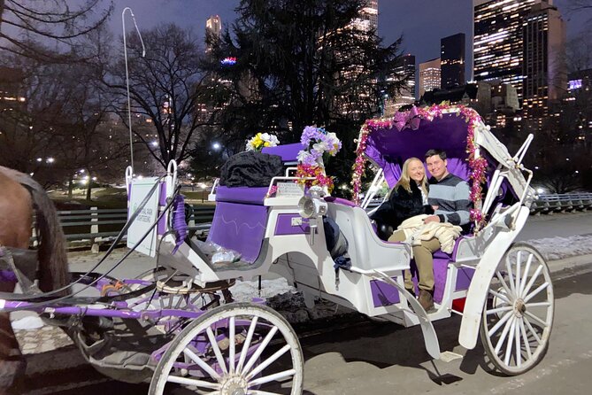 Central Park Movie Tour on Horse Carriage - Driver Interaction