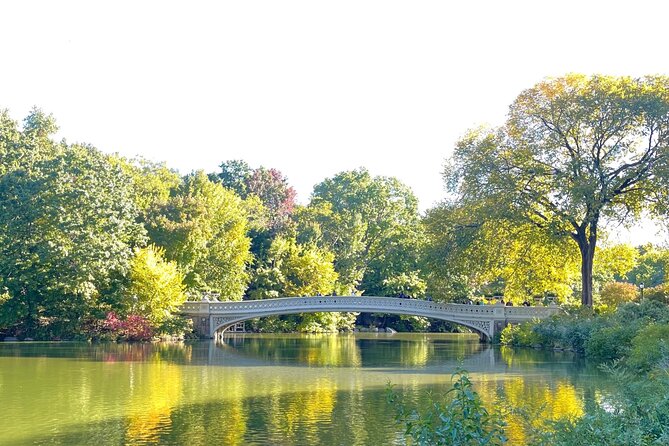 Central Park Pedicab Rickshaw Tours - Professional Guidance