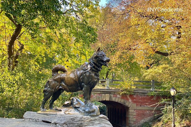 Central Park Pedicab Rickshaw Tours - Accessibility and Inclusivity