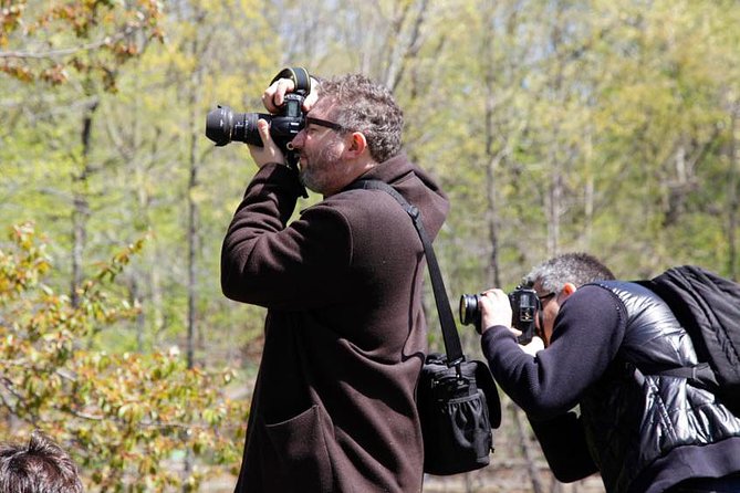 Central Park Photography Tour With Local Photographer - Learn Photography Techniques From Expert