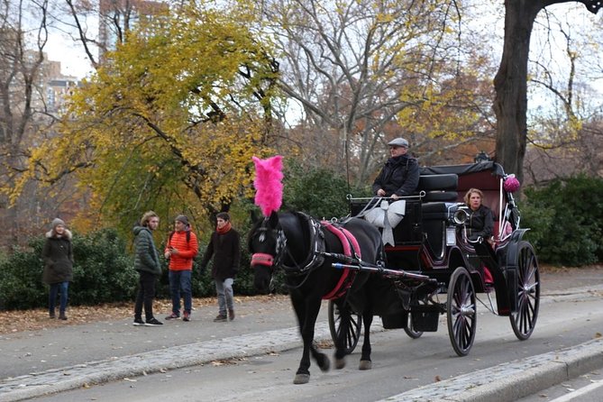 Central Park Private Horse Carriage Tour in NYC - Meeting and Pickup Details