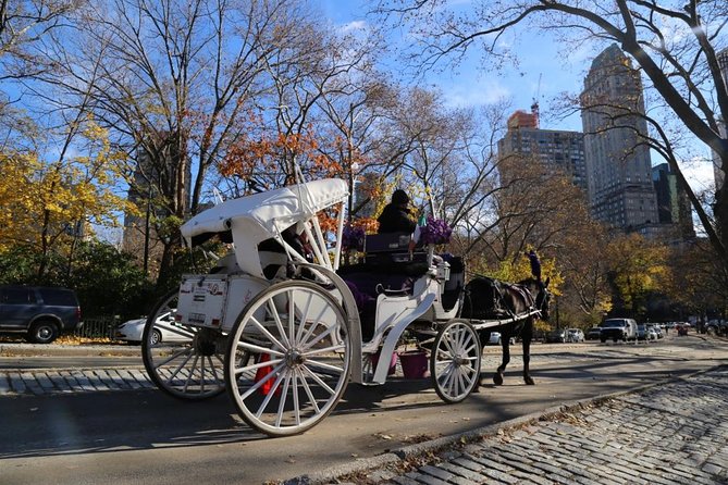 Central Park Private Horse Carriage Tour in NYC - Pricing and Booking Information