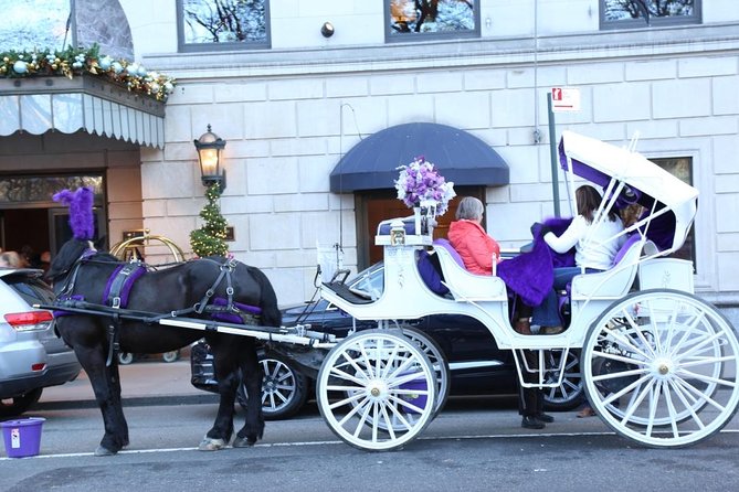 Central Park Private Horse Carriage Tour in NYC - Traveler Suitability and Reviews