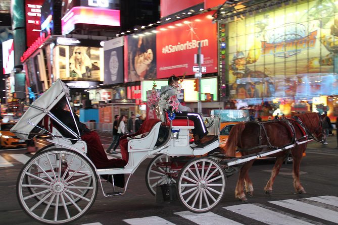 Central Park Private Horse Carriage Tour in NYC - Exploring Central Park in Comfort