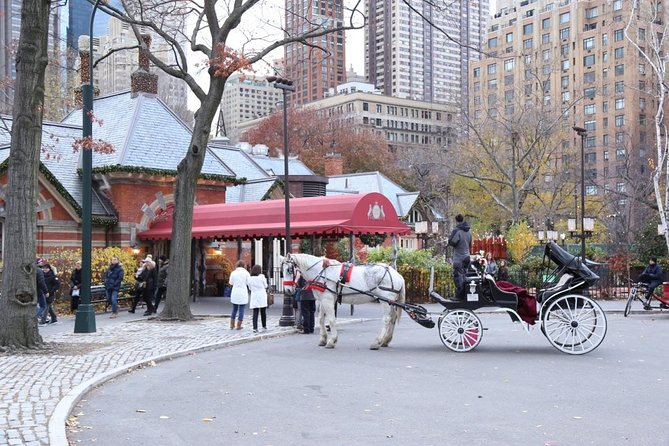 Central Park Private Horse Carriage Tour in NYC - Capturing Memorable Moments