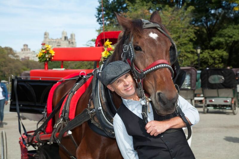Central Park: Short Horse Carriage Ride (Up to 4 Adults) - Highlights and Features