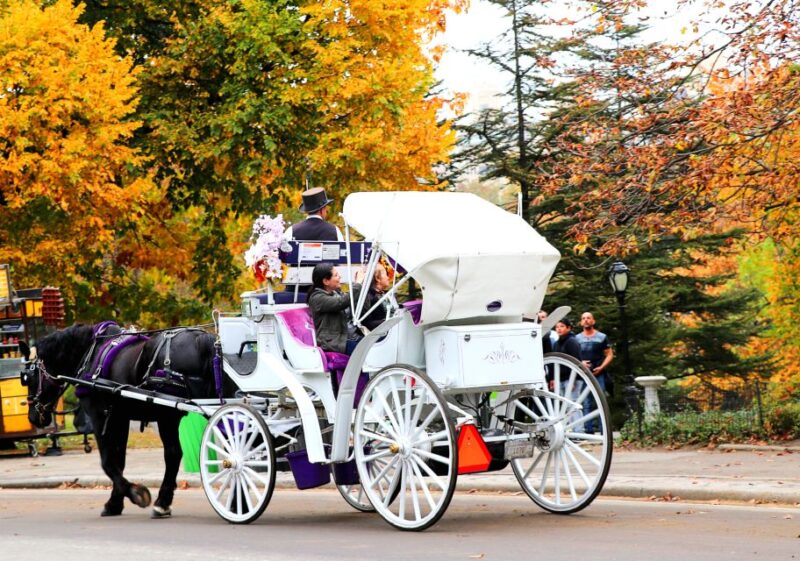 Central Park: Short Horse Carriage Ride (Up to 4 Adults) - Ride Experience and Comfort
