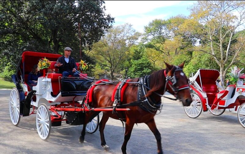 Central Park: Short Horse Carriage Ride (Up to 4 Adults) - Meeting Point and Important Information
