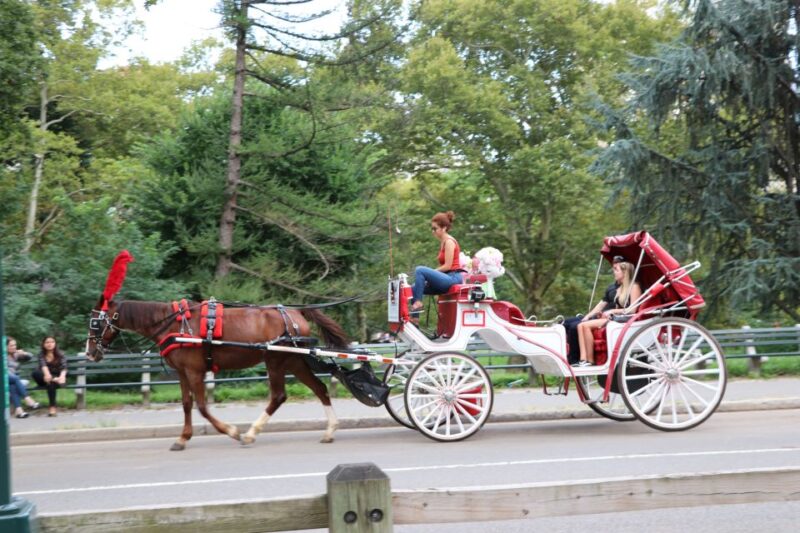 Central Park: Short Horse Carriage Ride (Up to 4 Adults) - Customer Feedback and Ratings