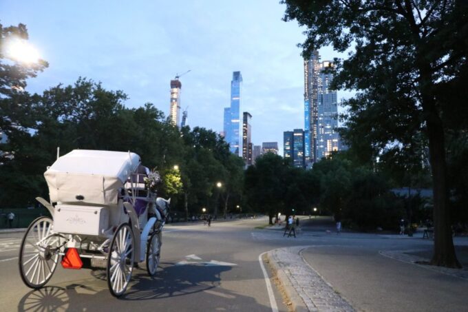 Central Park: Short Horse Carriage Ride (Up to 4 Adults) - Duration and Pricing