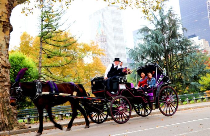 Central Park: Short Horse Carriage Ride (Up to 4 Adults) - Reservation and Cancellation Policy