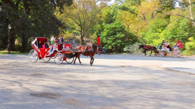 Central Park: Short Horse Carriage Ride (Up to 4 Adults) - Sights and History of Central Park