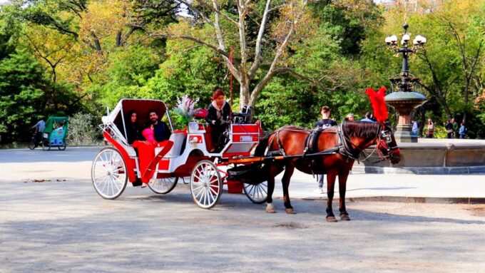 Central Park: Short Horse Carriage Ride (Up to 4 Adults) - Frequently Asked Questions