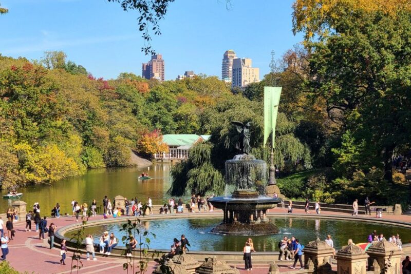 Central Park Tandem Bike Rentals - Customer Reviews and Ratings