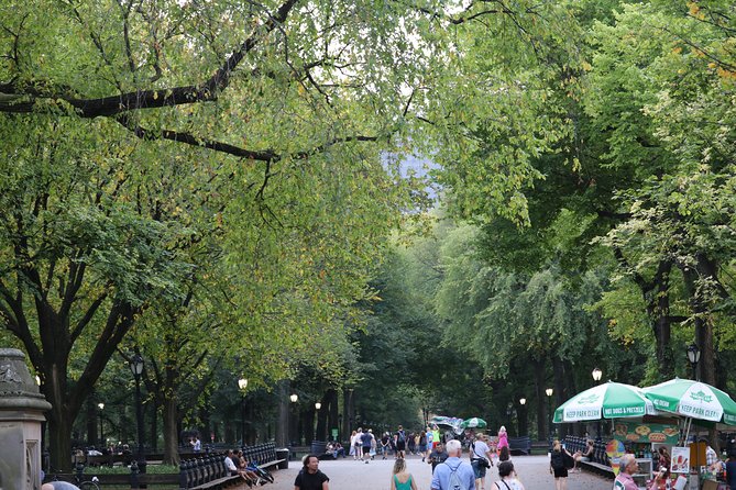 Central Park VIP Tour (All Park Tour up to 2 Hour With Unlimited Stops) Pedicab - Pickup and Meeting Information