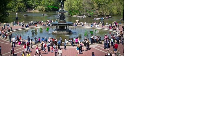 Central Park Walking Tour 2 Hour, South Loop - Operating Schedule