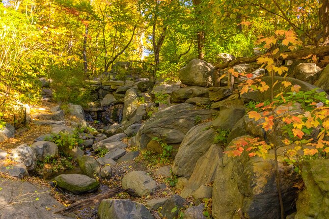 Central Park Walking Tour: Scandal and Vice - A Walk Through Central Parks Notorious History