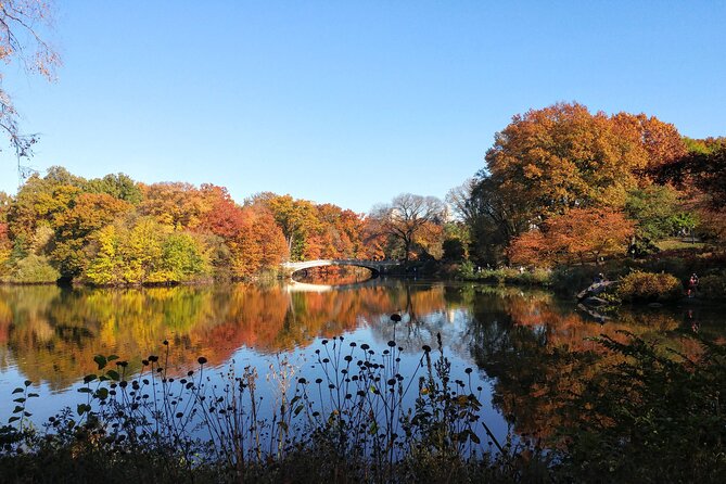 Central Park Walking Tour: Scandal and Vice - Unveiling the Scandalous Side of Central Park