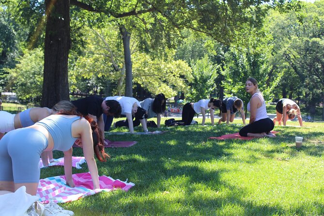 Central Park Yoga Class With a View in the Heart of New York City - Yoga Mats and Music