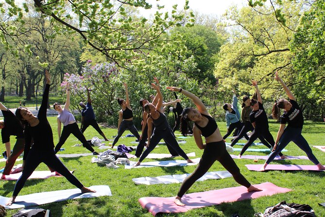 Central Park Yoga Class With a View in the Heart of New York City - Booking and Cancellation