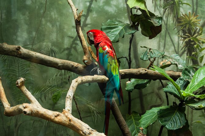 Central Park Zoo Skip-the-line Tickets & Private Transfers - Frequently Asked Questions