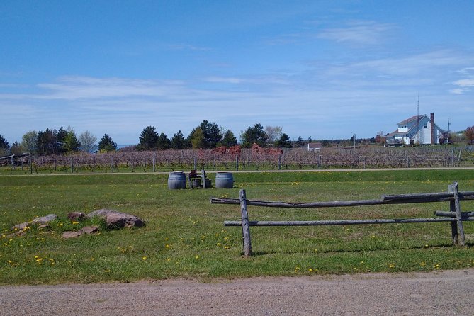 Central PEI Winery, Apiary and Mead Tasting Tour - Local Drinks and Producers Exploration