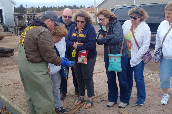 Central PEI Winery, Apiary and Mead Tasting Tour - Artisan Cider Sampling Experience