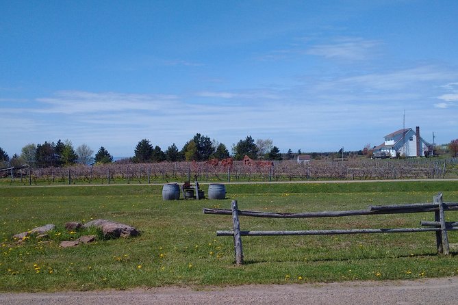 Central PEI Winery, Brewery, and Distillery Tasting Tour DE' Force - Transport Amenities