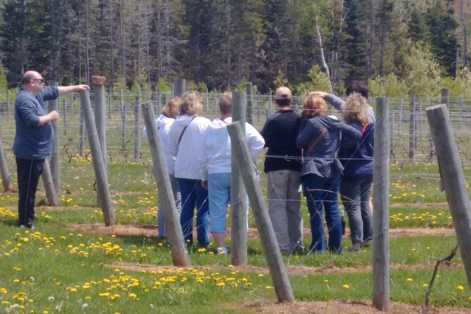 Central PEI Winery, Brewery, and Distillery Tasting Tour DE' Force - Pickup and Drop-off