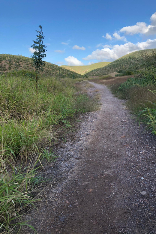 Cerro De La Calavera Hiking Tour - Itinerary Highlights