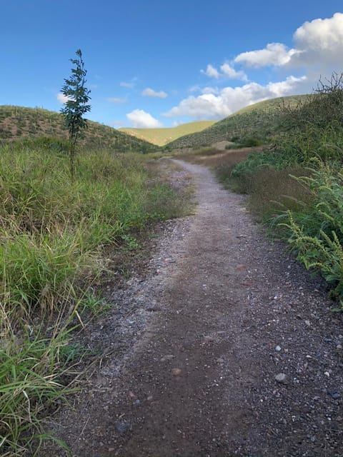 Cerro De La Calavera Hiking Tour - Included in the Tour