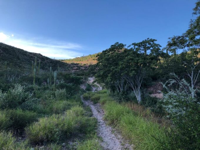 Cerro De La Calavera Hiking Tour - Frequently Asked Questions